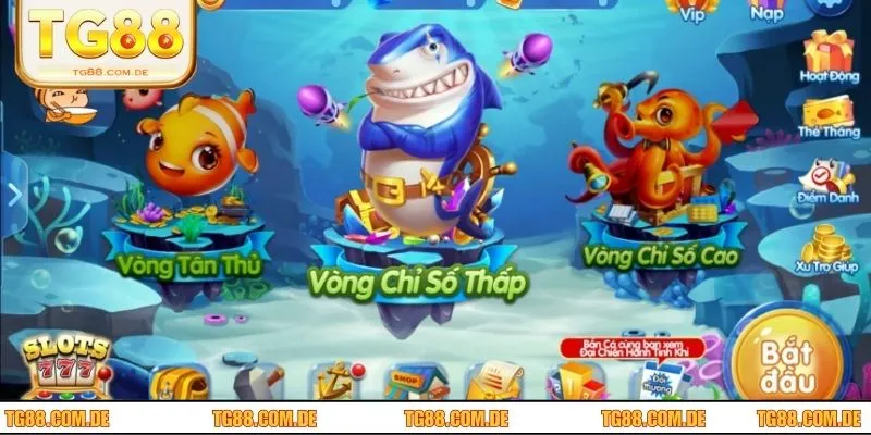 Bắn Cá H5 - Phiêu Lưu Đại Dương, Nhận Thưởng Lớn Tại TG88 Anh em nên chọn phòng chơi phù hợp với khả năng tài chính của bản thân