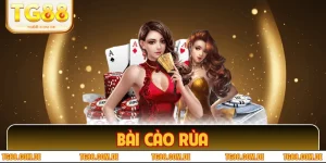 Bài Cào Rùa - Bí Kíp Chơi “Nhanh Mà Chất” Cho Tân Binh