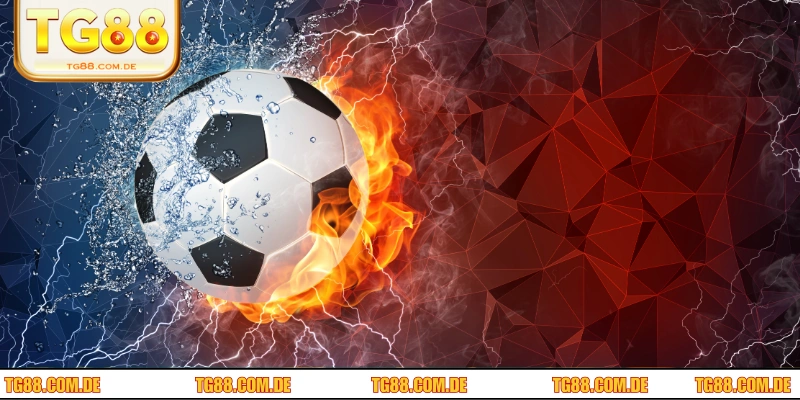 Cách đọc và tính toán tỷ lệ kèo Malaysia