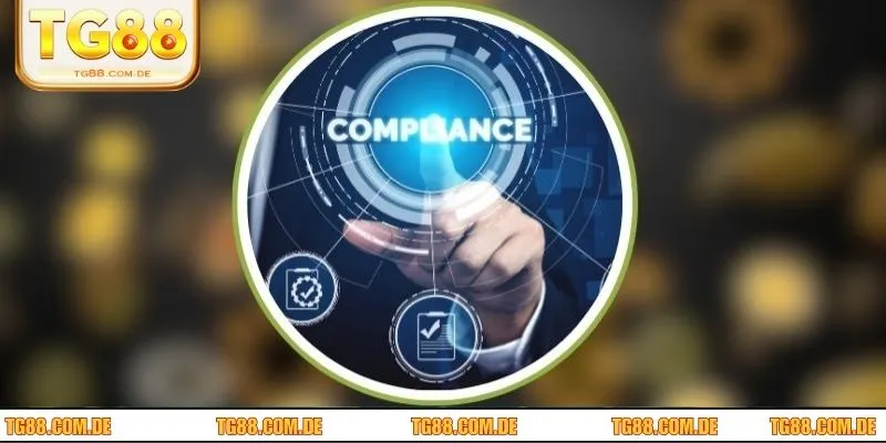 Hội viên cần lưu ý khi tham khảo thông tin tại TG88 