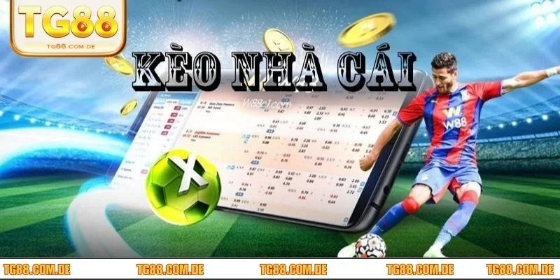 Người chơi cần nắm được 3 cách chơi kèo tỷ lệ nhà cái hiệu quả nhất