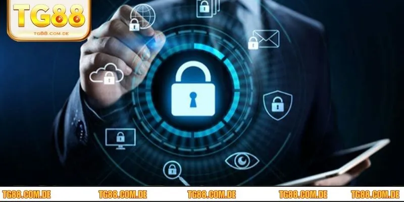 Nhà cái thiết lập chính sách phòng vệ giúp giữ kín thông tin hội viên 100% 