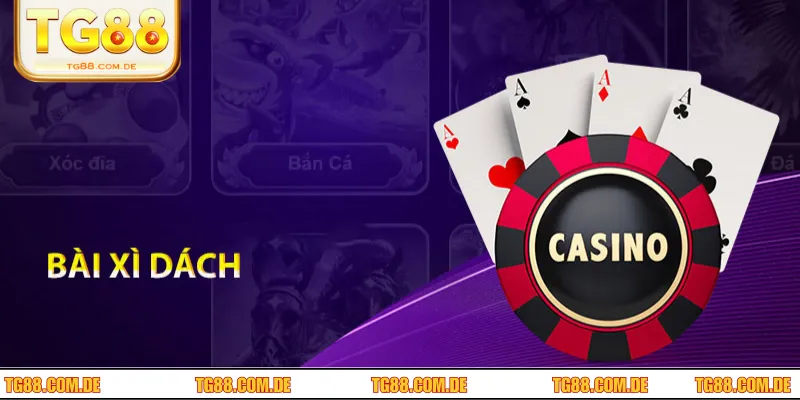 Hướng dẫn thao tác đánh xì dách đúng luật